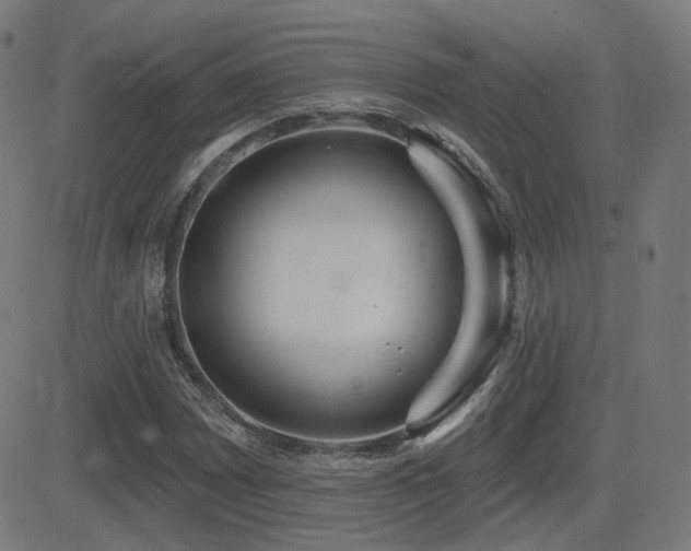 X0000081321065200701111328