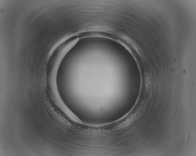 X0000081321069200701111328