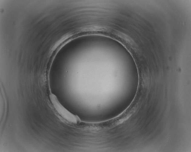 X0000081321073200701111327