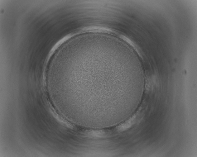 X0000081321074200701111327