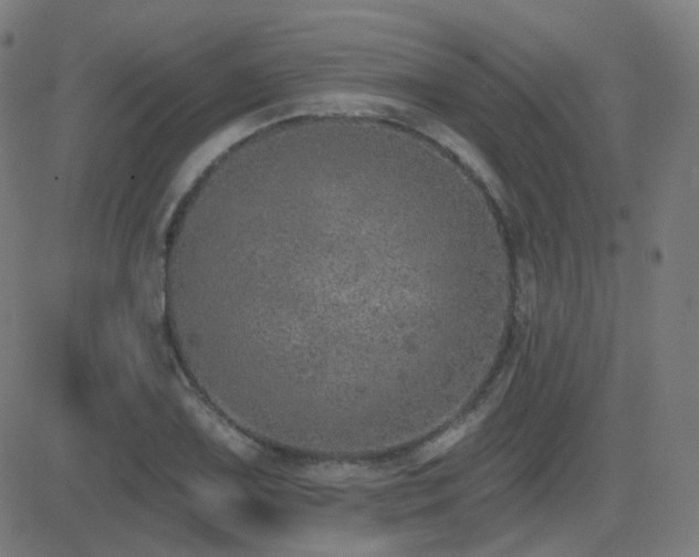 X0000081321075200701111327