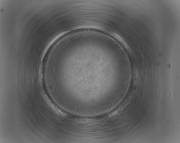 X0000081321076200701111327