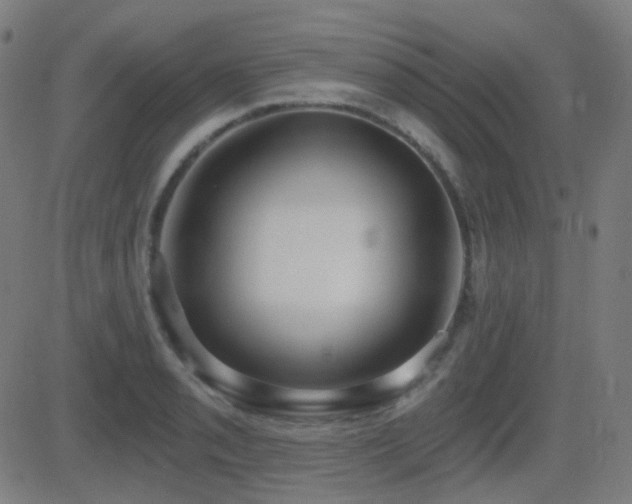 X0000081321085200701111327
