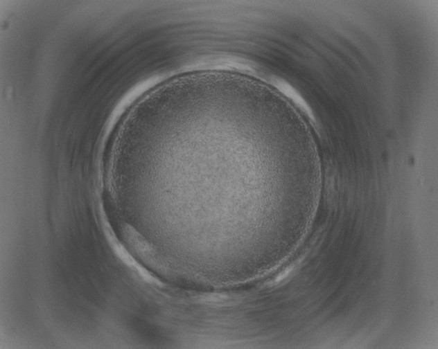 X0000081321088200701111327