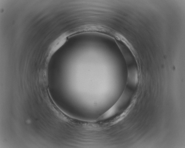 X0000081321089200701111327