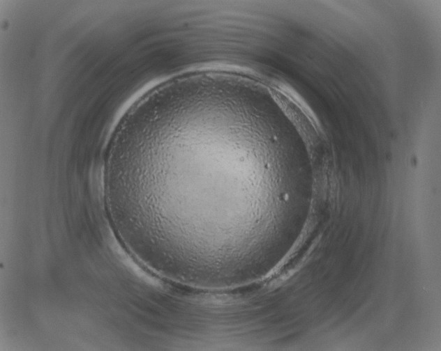 X0000081321092200701111327