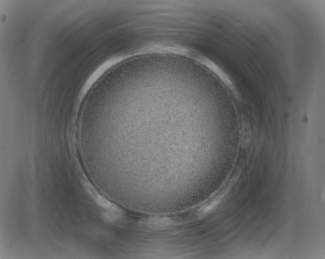 X0000081321094200701111327