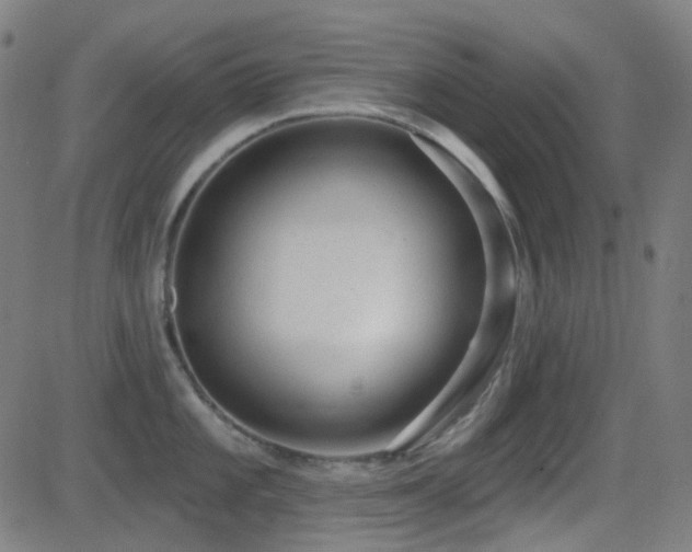X0000081321101200701111327