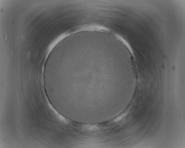 X0000081321103200701111327
