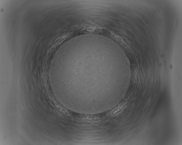 X0000081321105200701111326