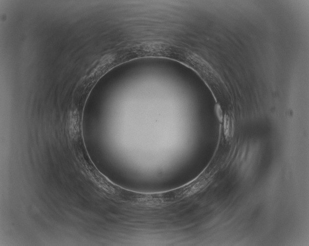 X0000081321107200701111326