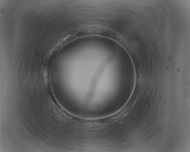 X0000081321108200701111326