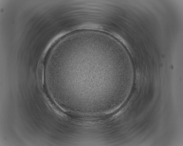 X0000081321123200701111326