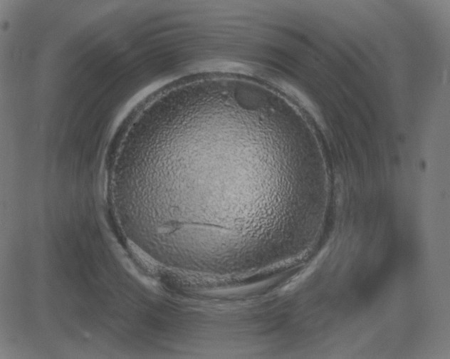 X0000081321125200701111326