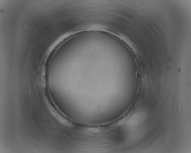 X0000081321126200701111326