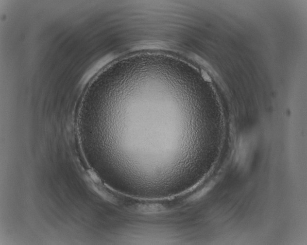 X0000081321129200701111327