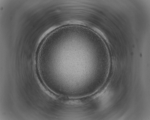 X0000081321133200701111327