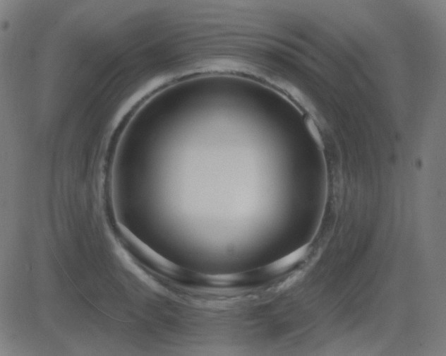 X0000081321134200701111327