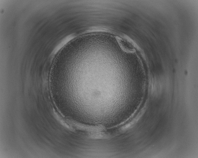 X0000081321137200701111327