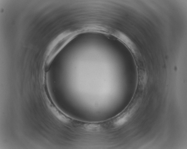 X0000081321140200701111327