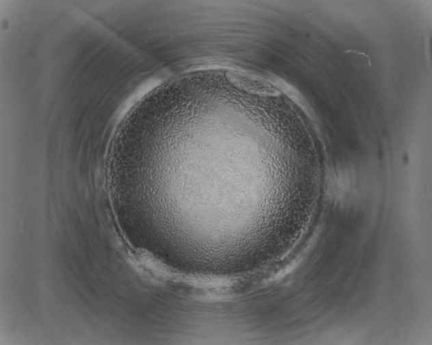 X0000081321145200701111327