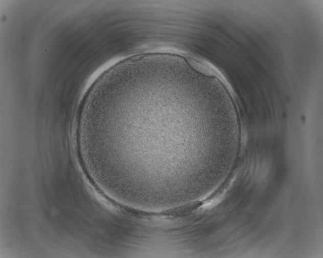 X0000081321149200701111327