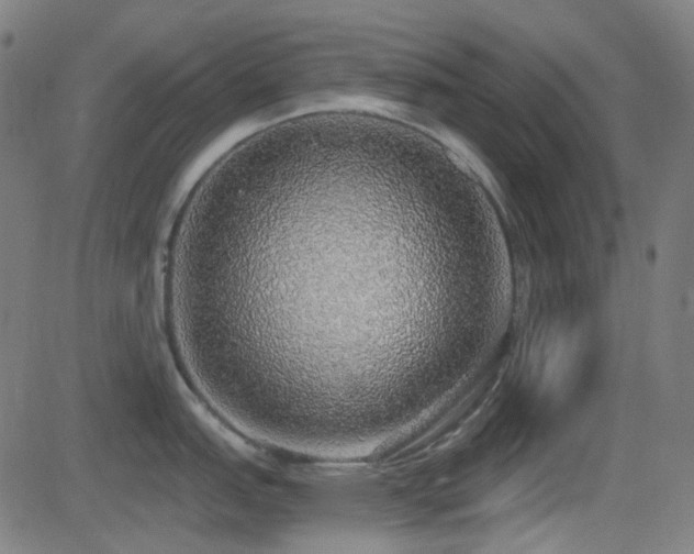 X0000081321151200701111327