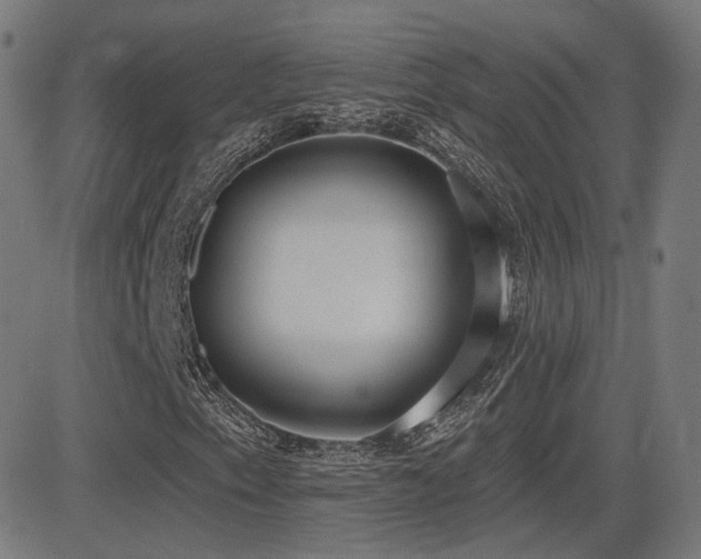X0000081321153200701111326