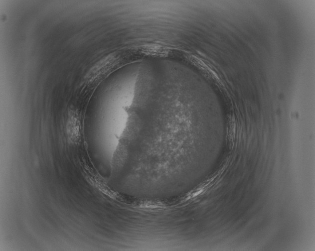 X0000081321154200701111326