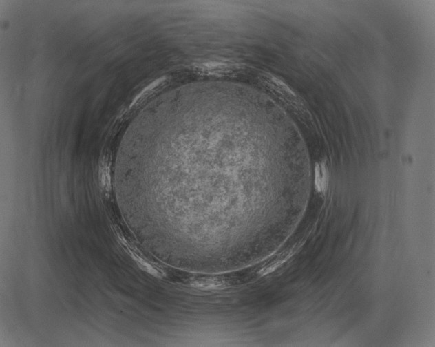 X0000081321155200701111326