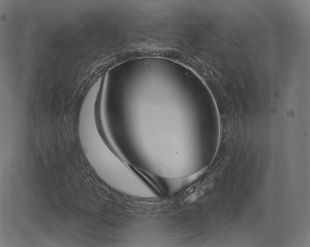 X0000081321157200701111326
