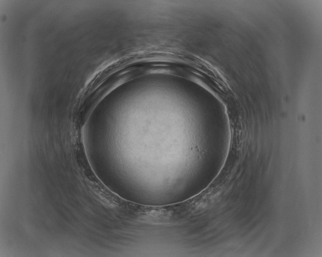 X0000081321160200701111326