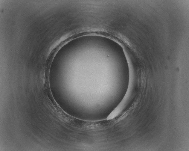X0000081321165200701111326