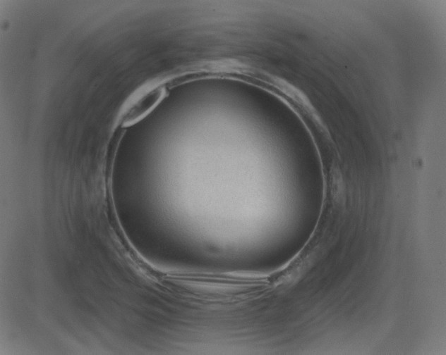 X0000081321176200701111326