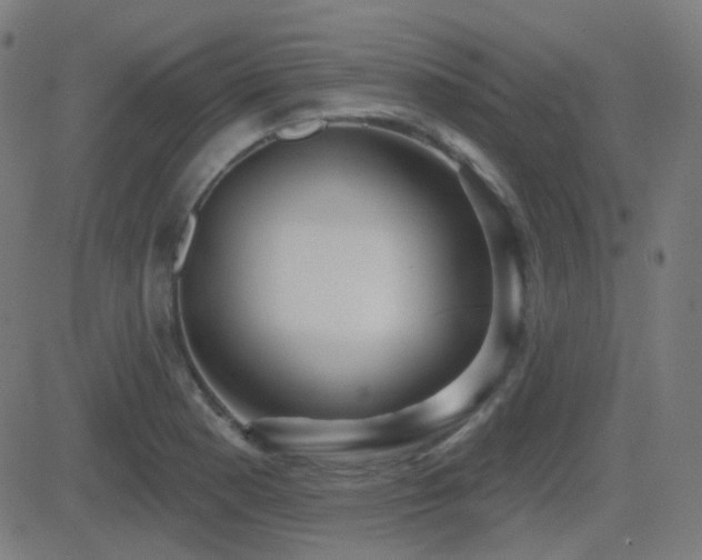 X0000081321177200701111326