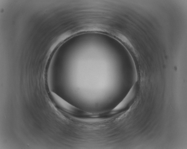 X0000081321181200701111326