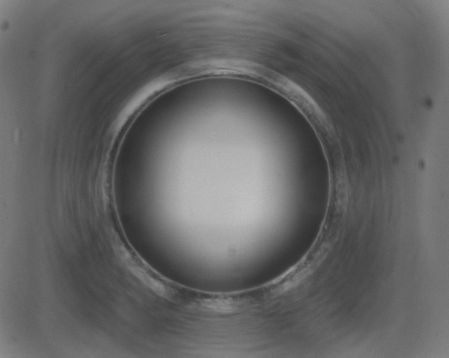 X0000081321182200701111326