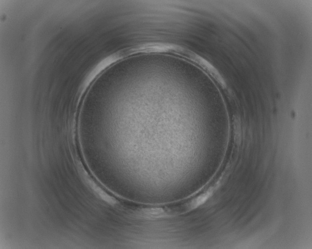 X0000081321186200701111326