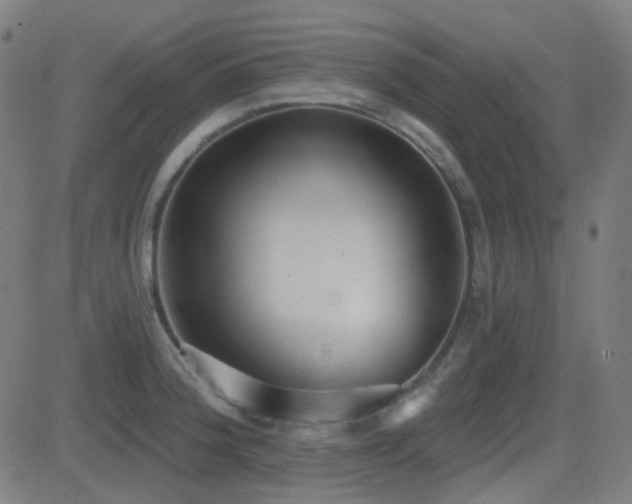 X0000081321188200701111326