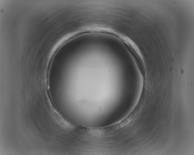 X0000081321191200701111325