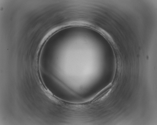 X0000081321192200701111325