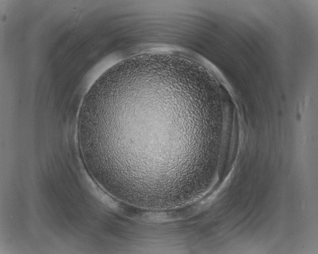 X0000081321194200701111325