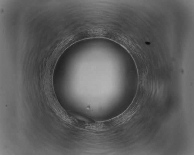 X0000081321201200701111325