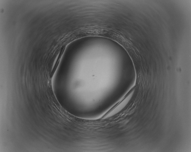 X0000081321202200701111325