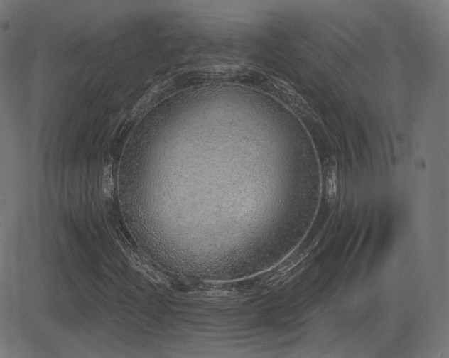 X0000081321204200701111325