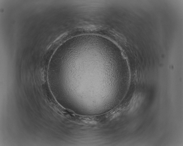 X0000081321205200701111325