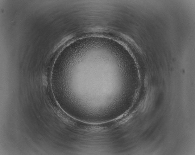 X0000081321209200701111325