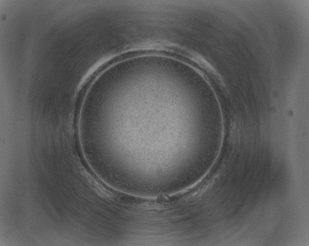 X0000081321216200701111325