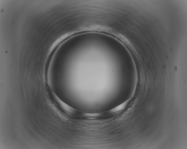 X0000081321230200701111325