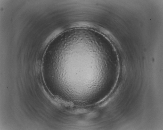 X0000081321233200701111325